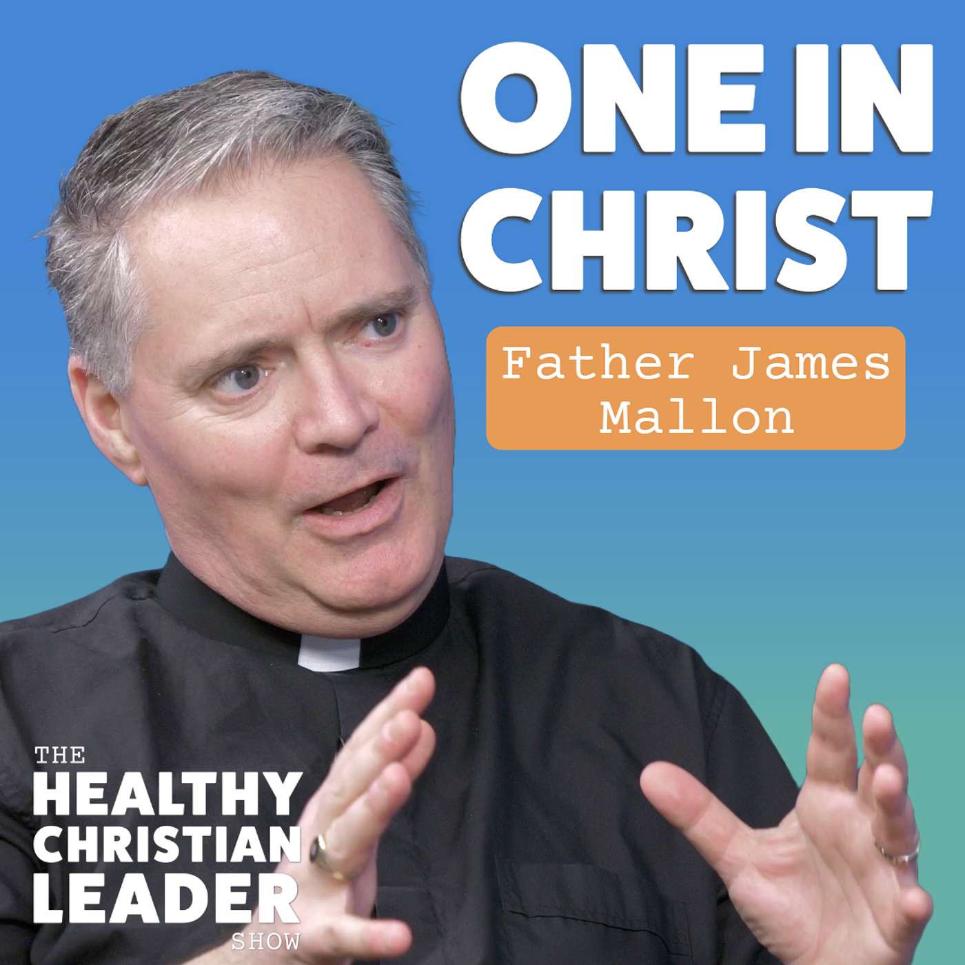 The Healthy Christian Leader - One in Christ | Father James Mallon