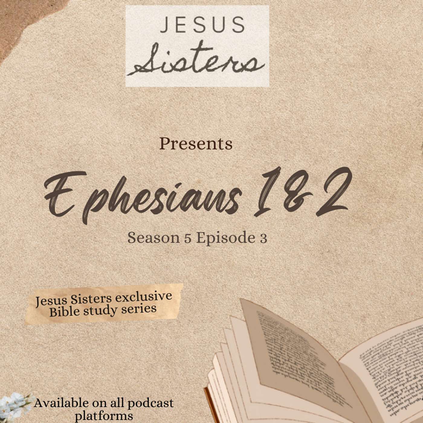 Ephesians Part 1- Jesus Sisters Bible Study Series