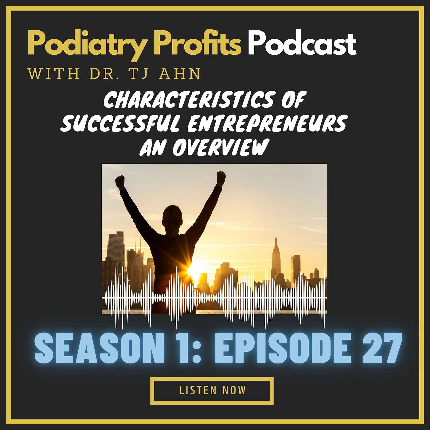Characteristics of Successful Entrepreneurs - Overview episode artwork