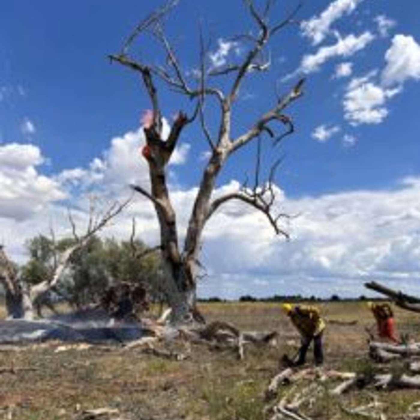 Chino Valley Firefighters Contain Lightning-Caused Fire episode artwork
