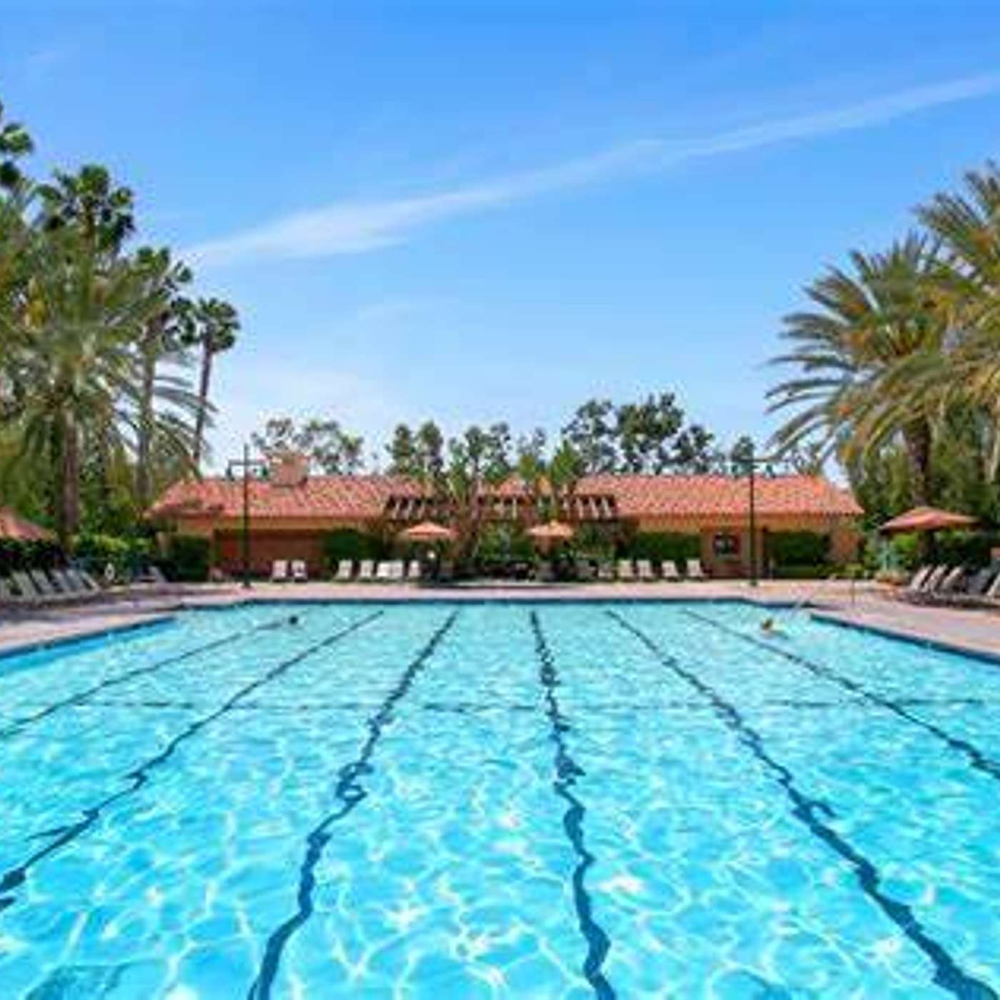 Meditation #4: The Swimming Meditation