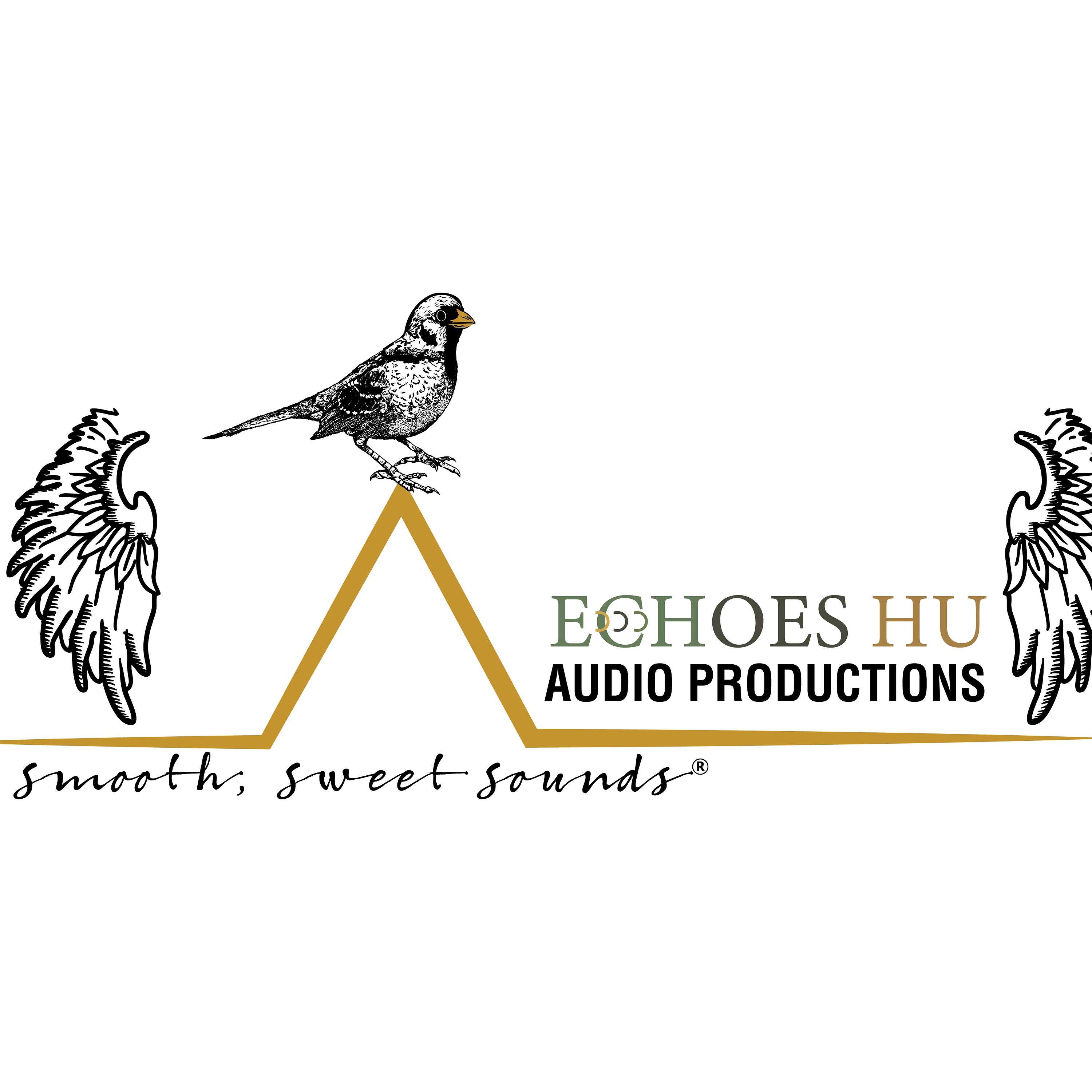 Echoes Hu Audio Productions – Drama Entertainment cover art