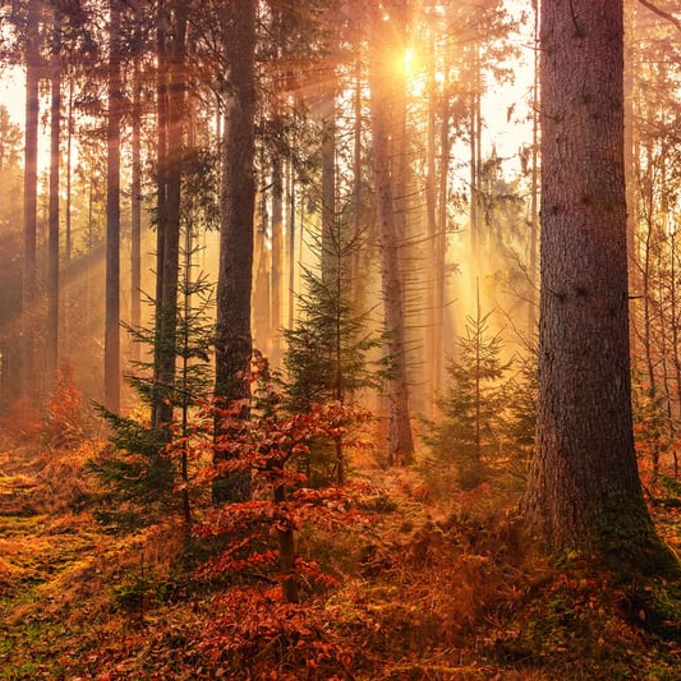 Sunday Service Podcast October 17th – The Radical Truth of Relationships