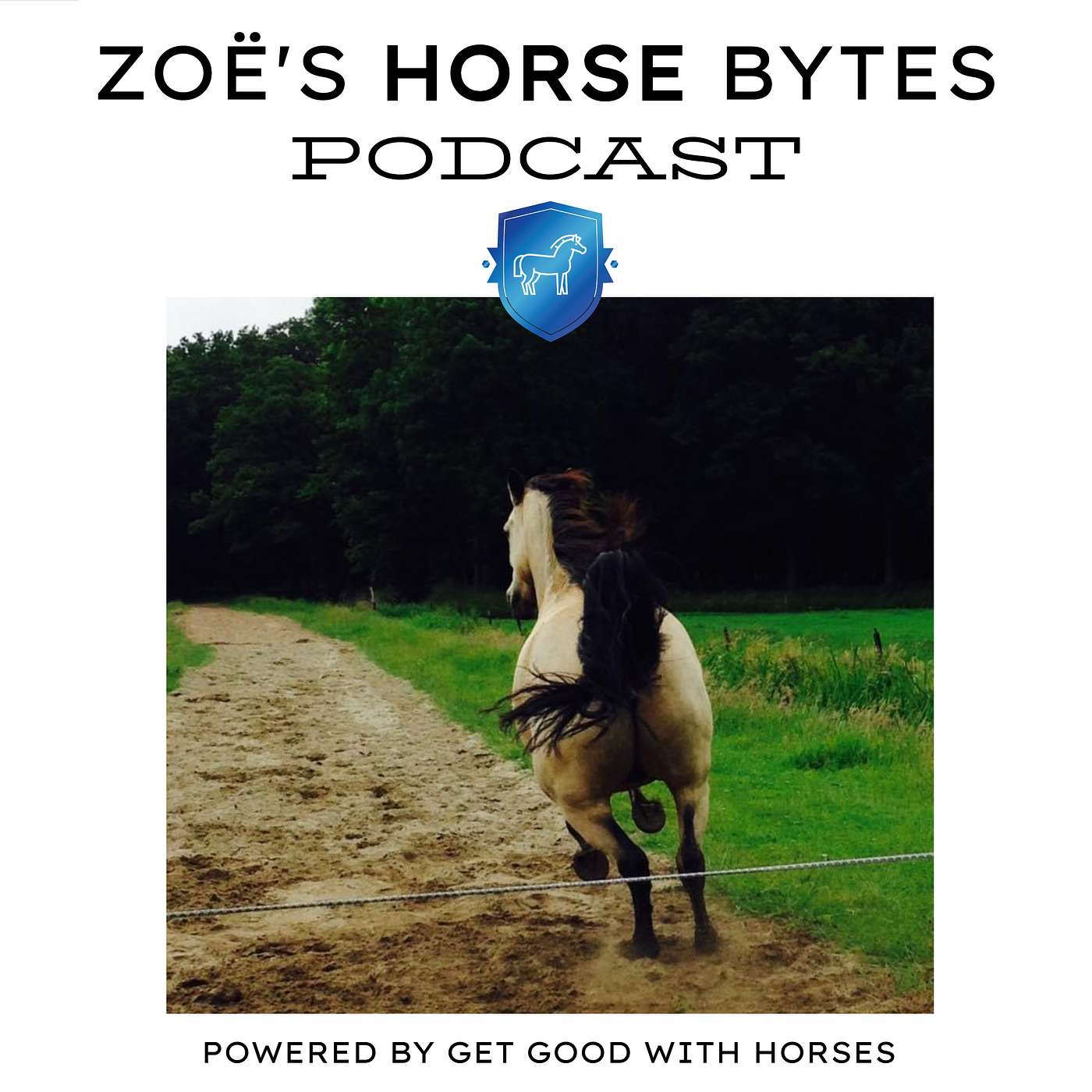 35. Help! I can't catch my horse episode artwork