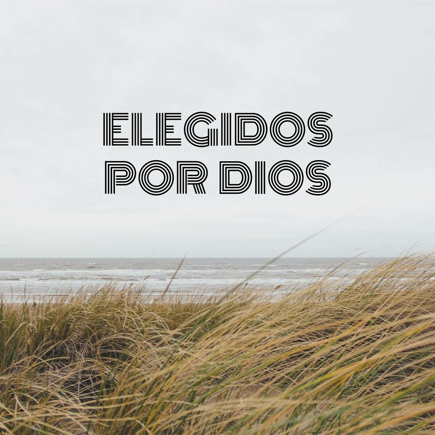 Elegidos por Dios