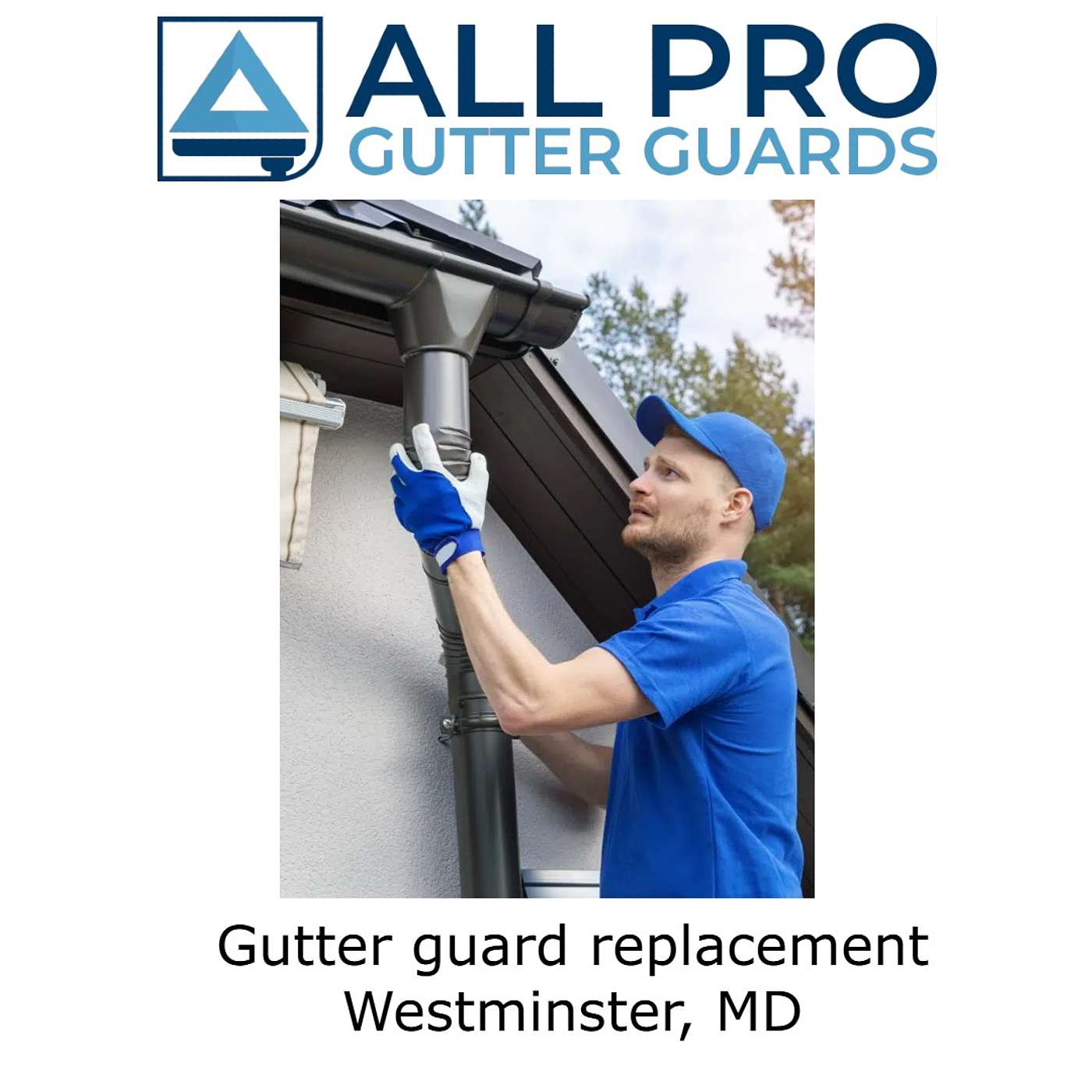 Gutter guard replacement Westminster, MD episode artwork