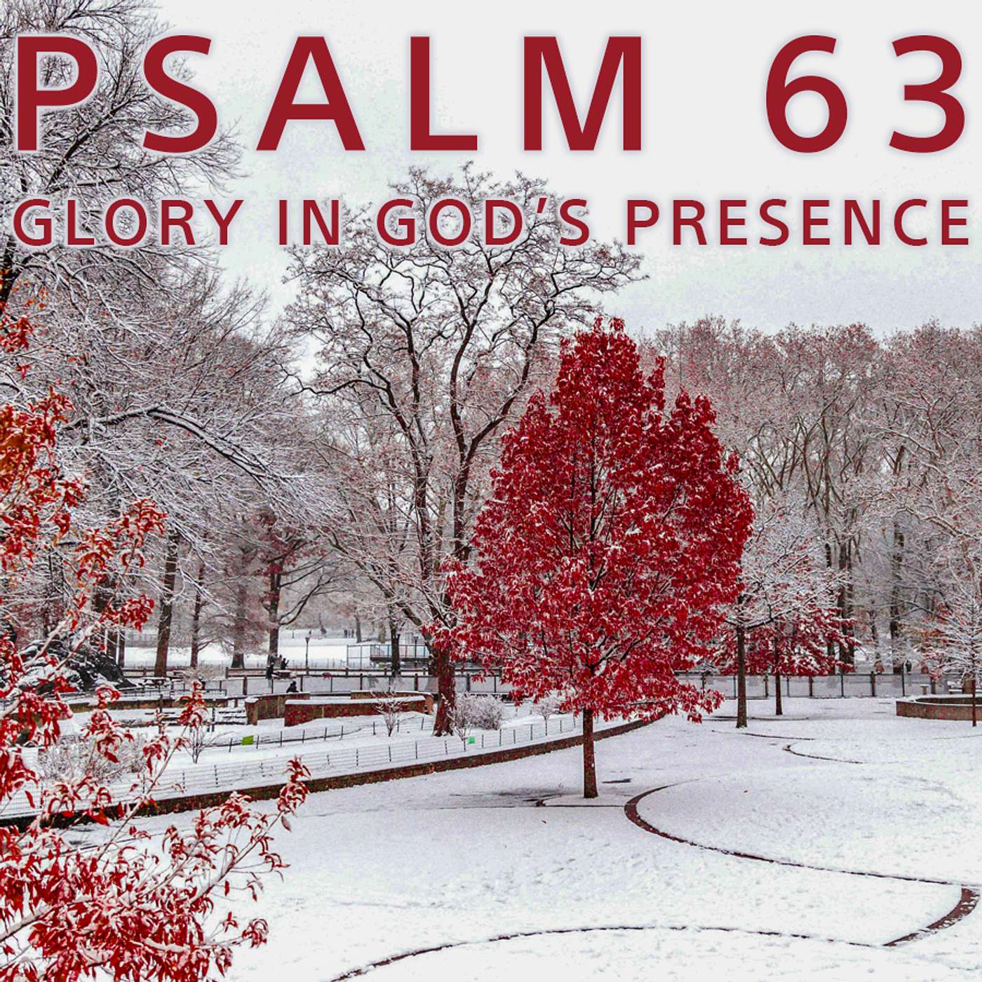 Season 5 Episode 210 - Psalm 63
