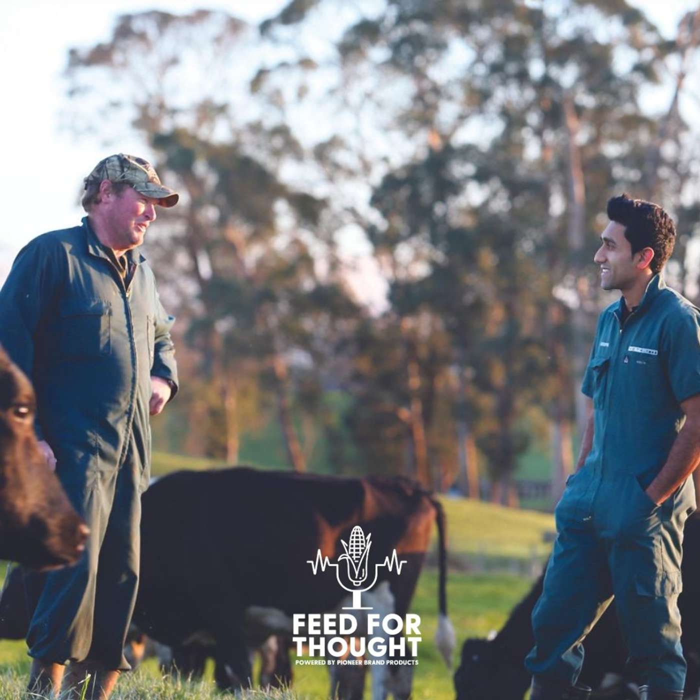 Krispin Kannan on Turning Cow Data into Better Decisions