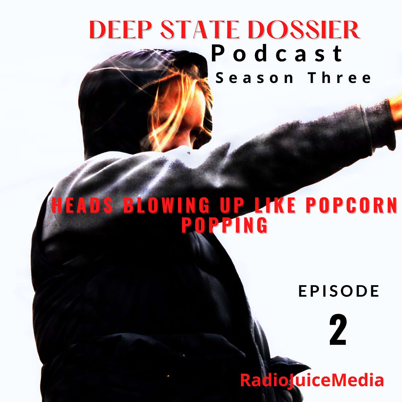 Deep State Dossier