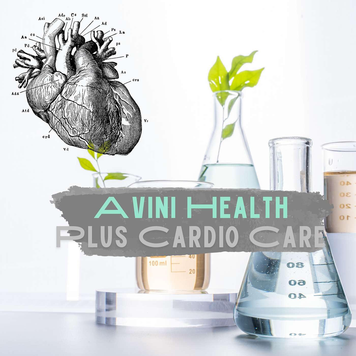 Wellness Zone