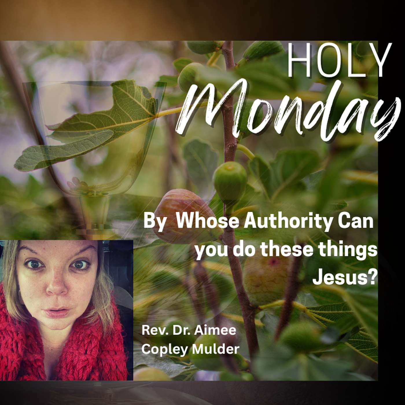 Holy Monday: Mark 11:20-26, Matthew 21:25-27 episode artwork