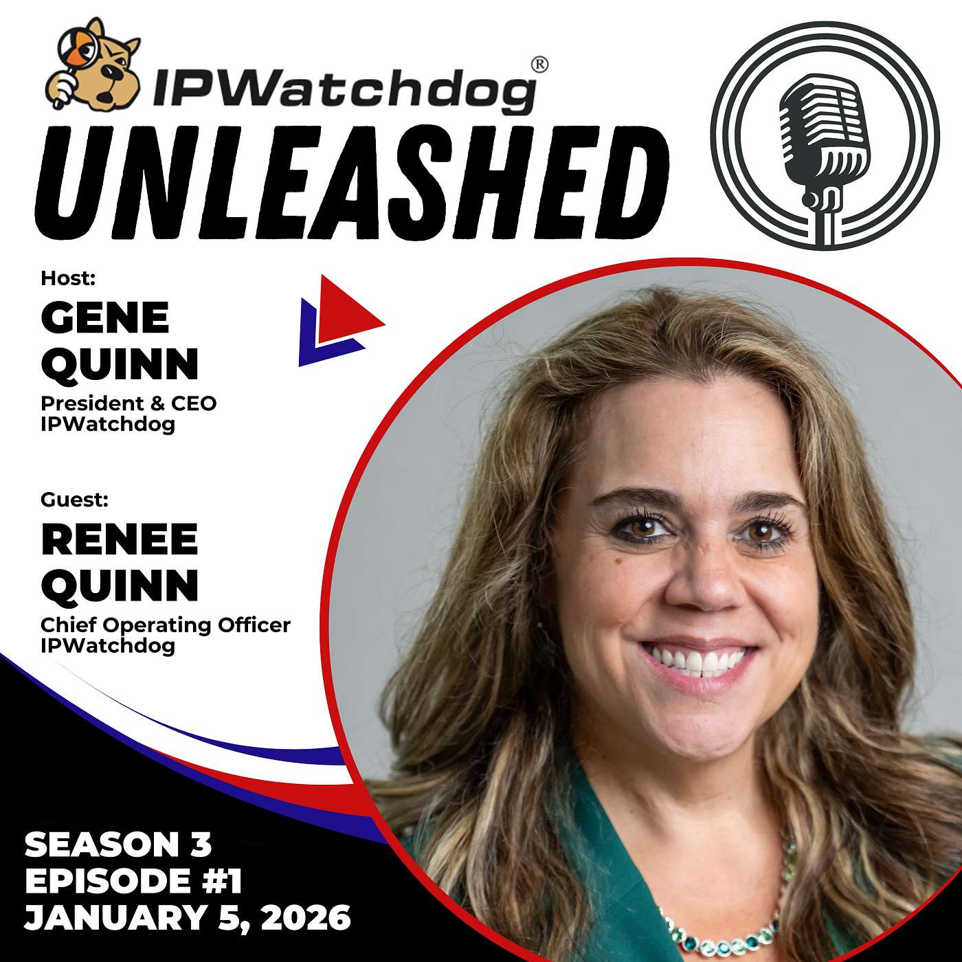 Behind the Scenes with Renee Quinn: From Humble Beginnings to Industry Leadership