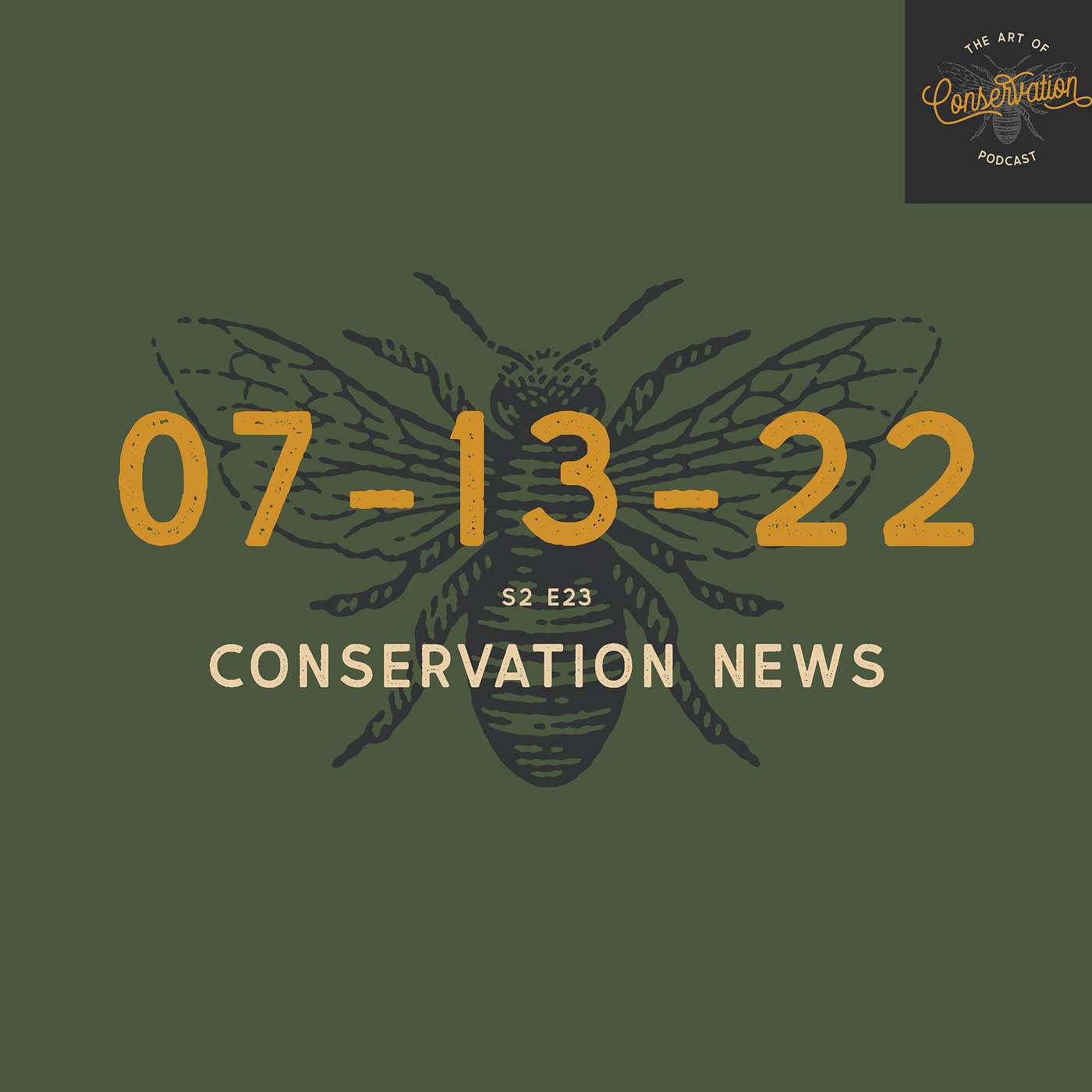 The Art Of Conservation