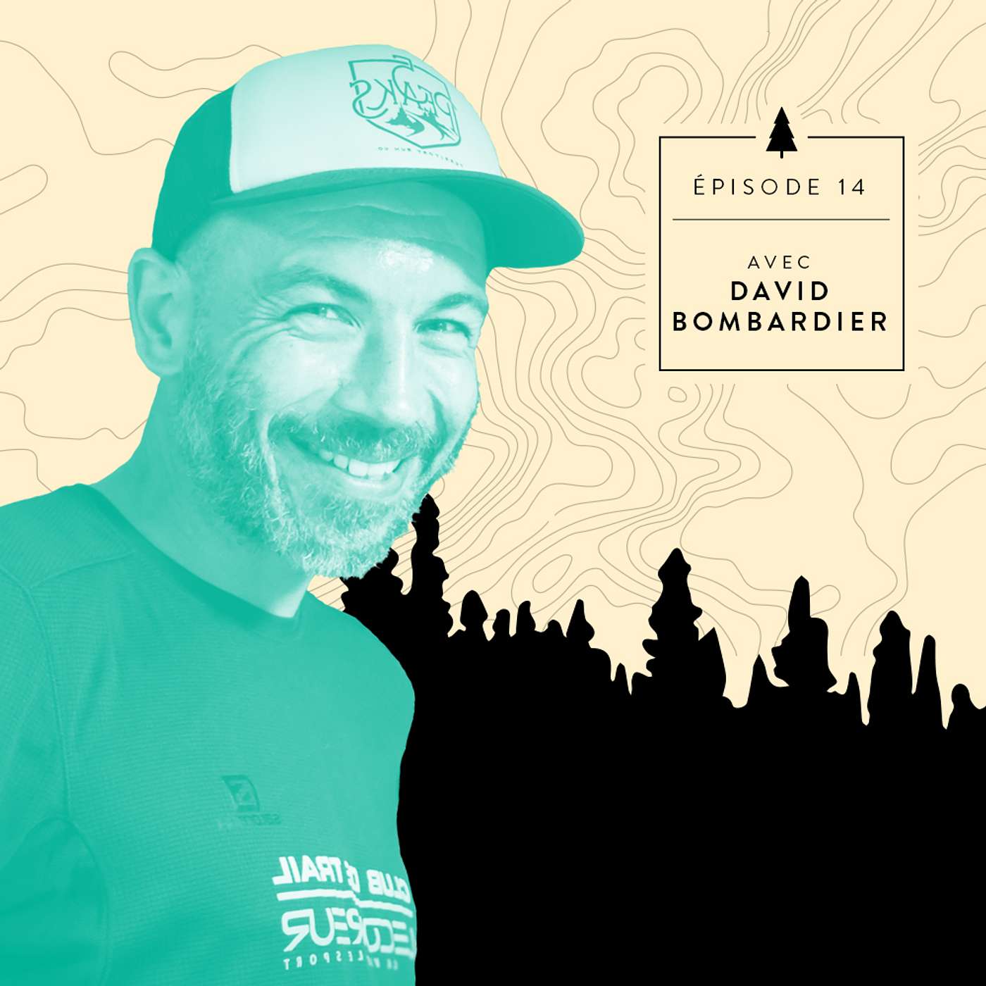 Pas sorti du bois