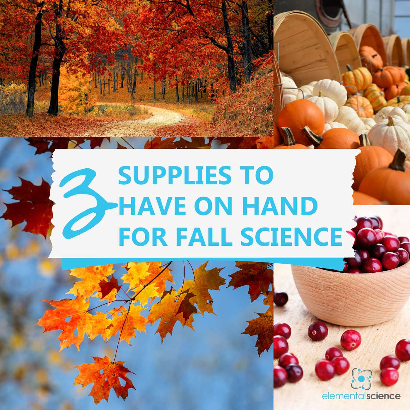 3 Supplies for Fall Science Experiments {Audio-blog from Elemental Science} episode artwork
