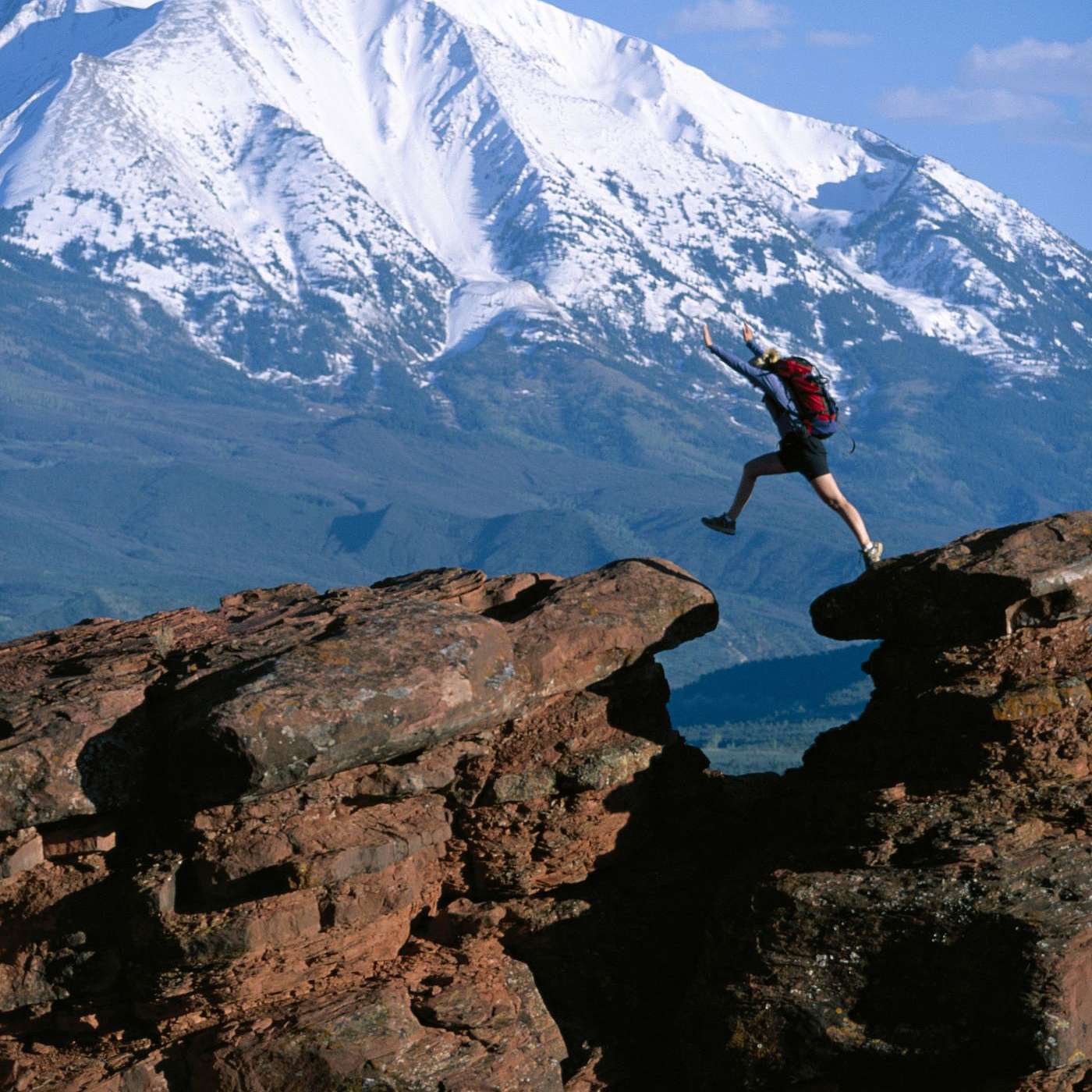 Our Wonderful Counselor For Life And Work