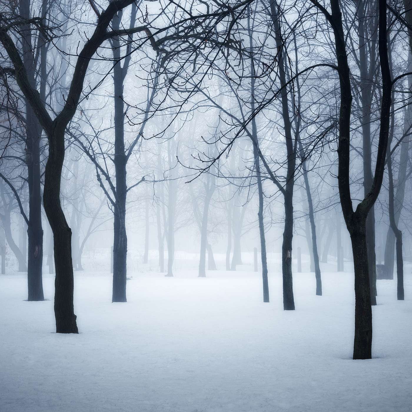 Episode #10: Wintertime air pollution - Part 1 Episode #10: Wintertime air pollution - Part 1