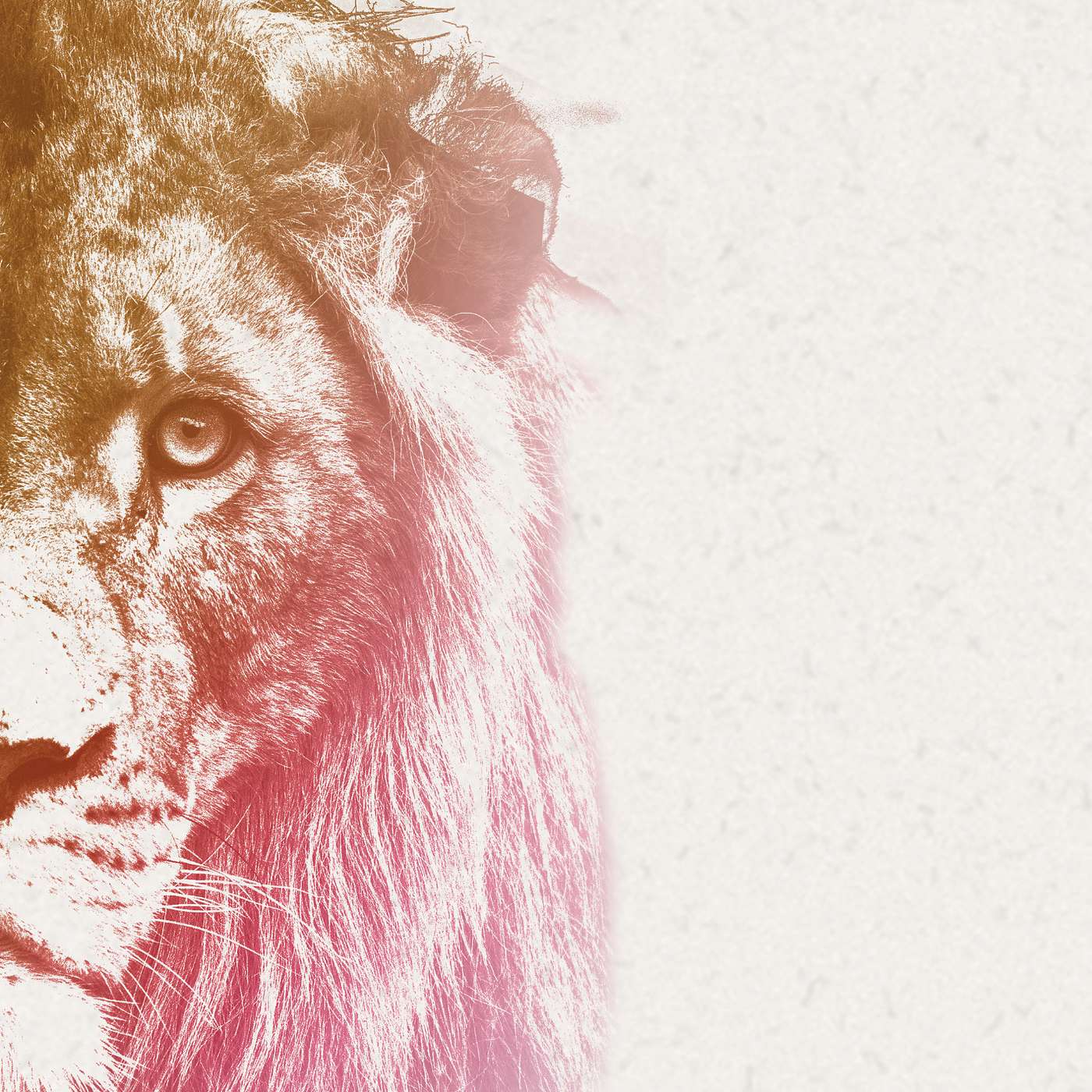 Gudsfrykt | del 1 | Sølve Salte