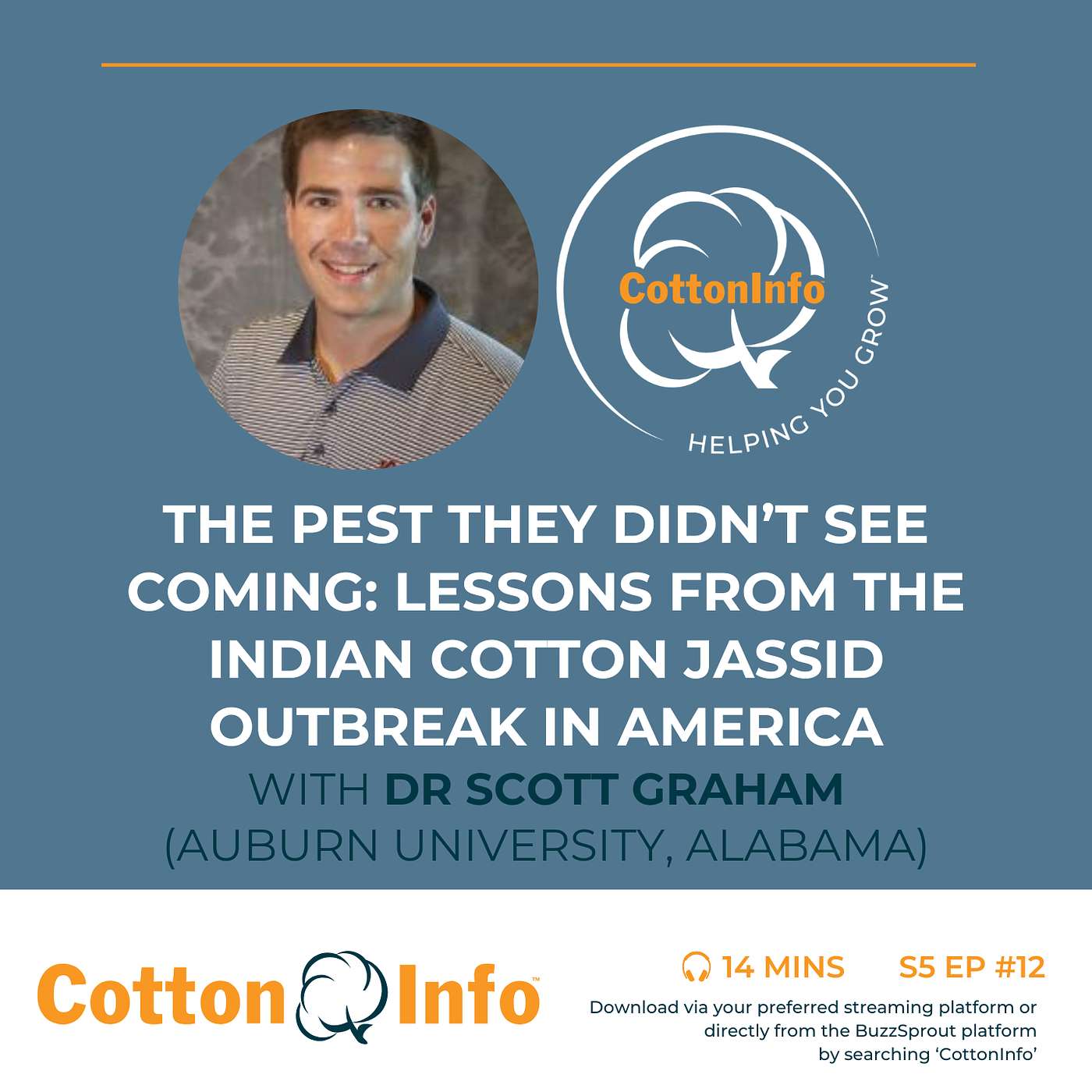 The Pest they Didn’t See Coming: lessons from the Indian Cotton Jassid Outbreak in America
