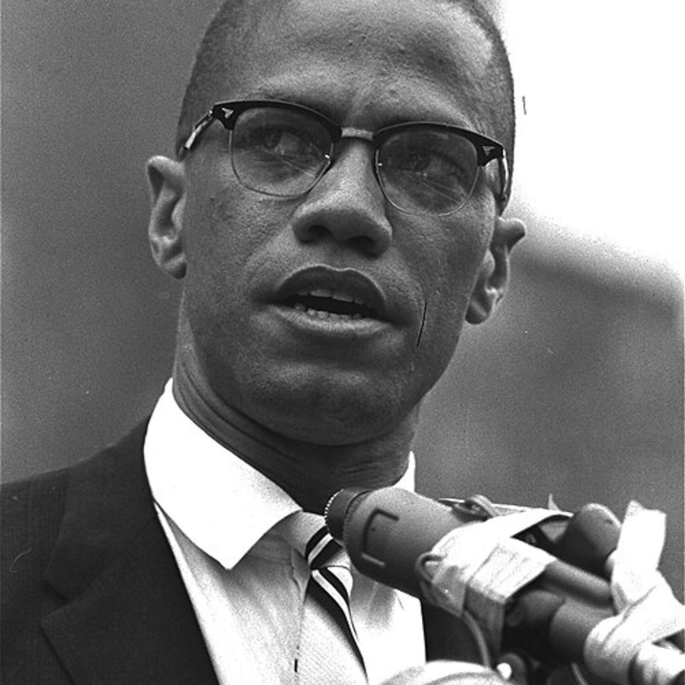 Malcolm X -Assorted Speeches/Highlights episode artwork