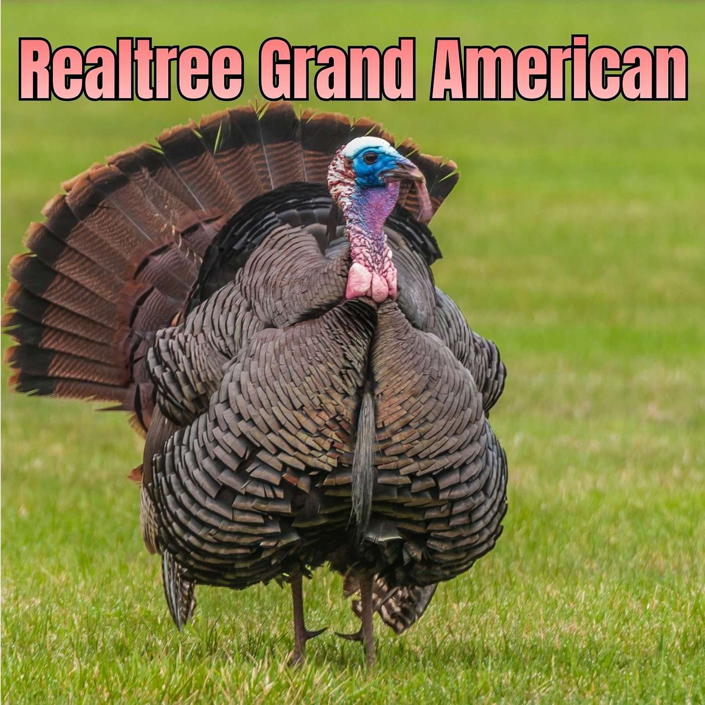 EP: 371 - The Caller Series - Realtree Grand American with John Browning episode artwork