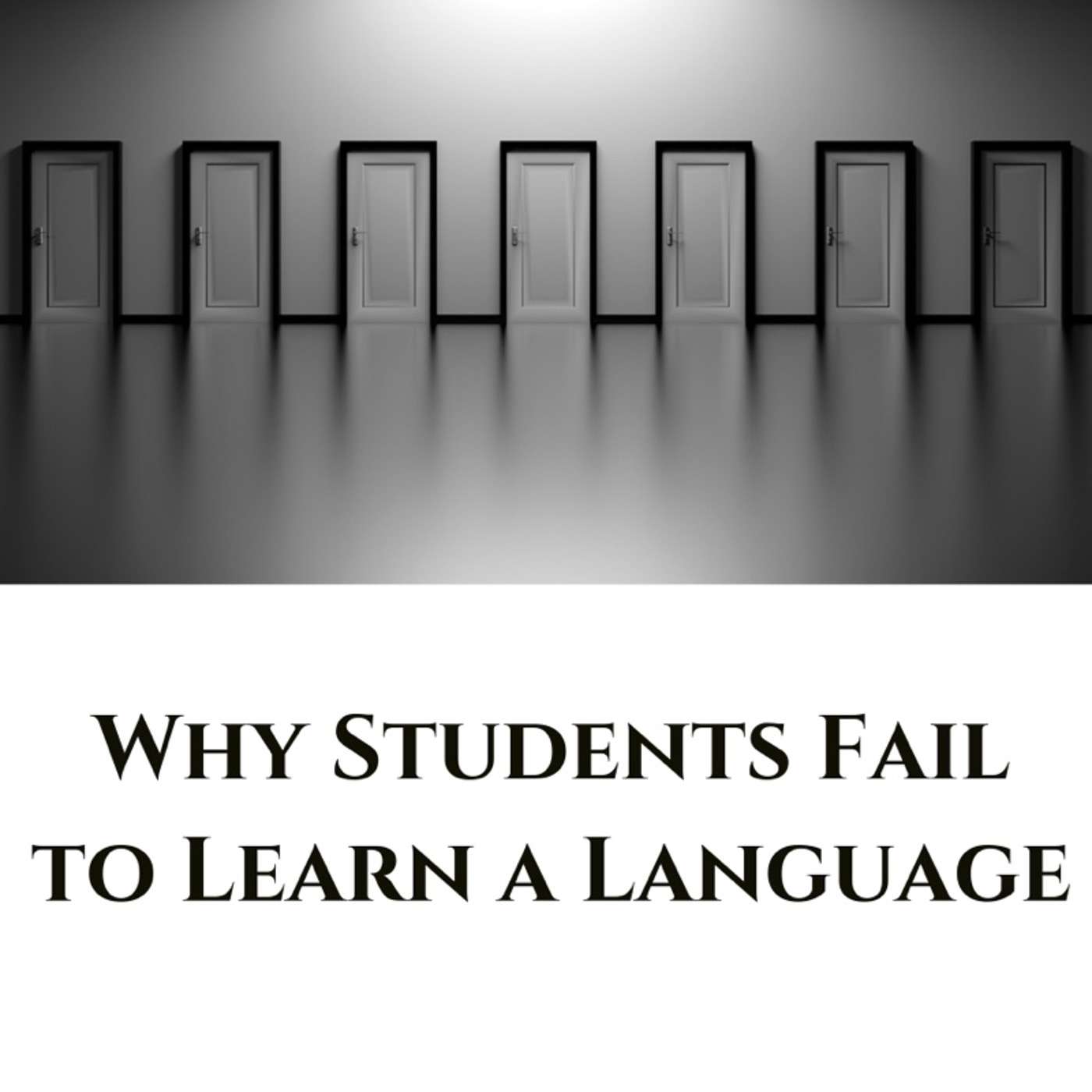 When Students Fail to Learn a Language