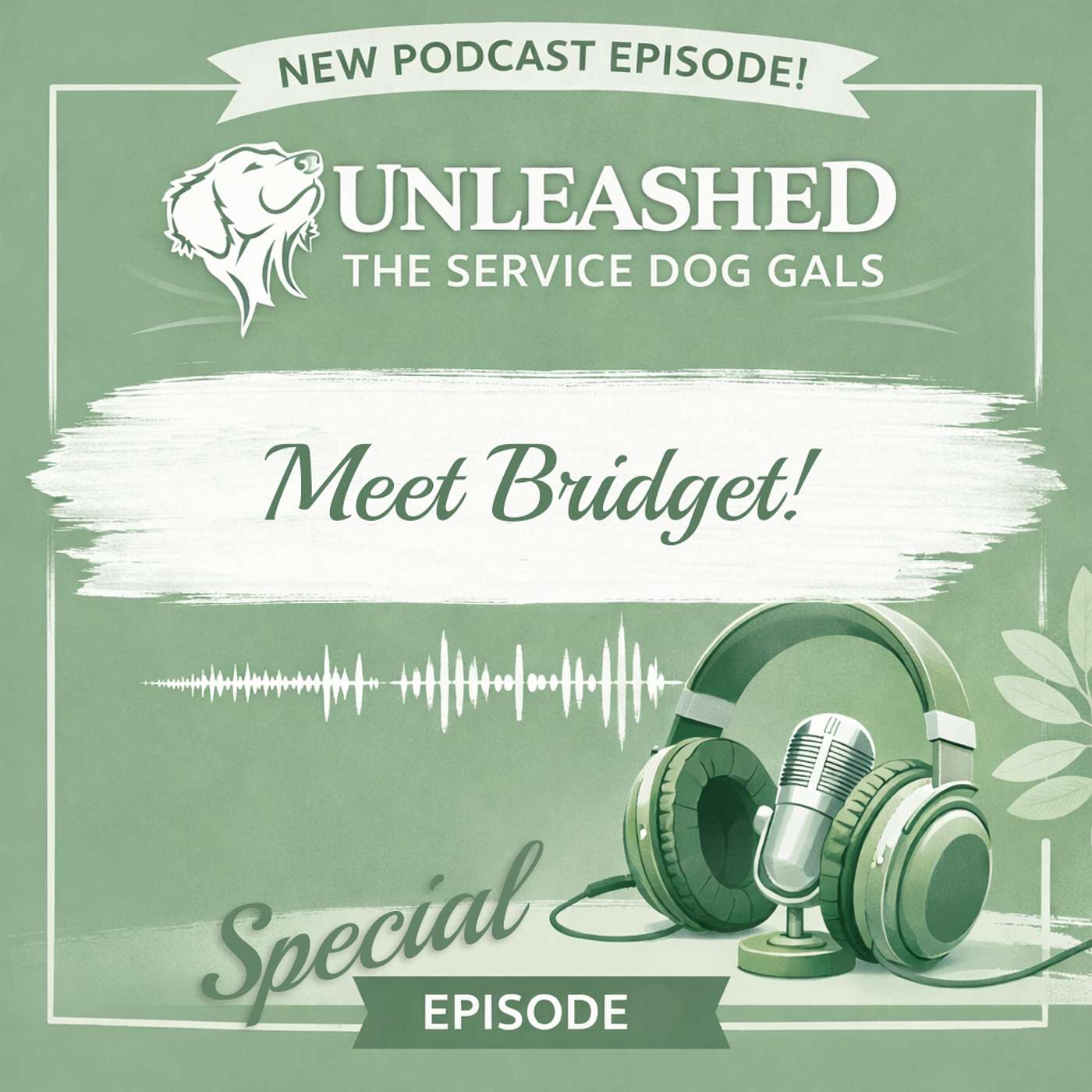 Unleashed - The Service Dog Gals
