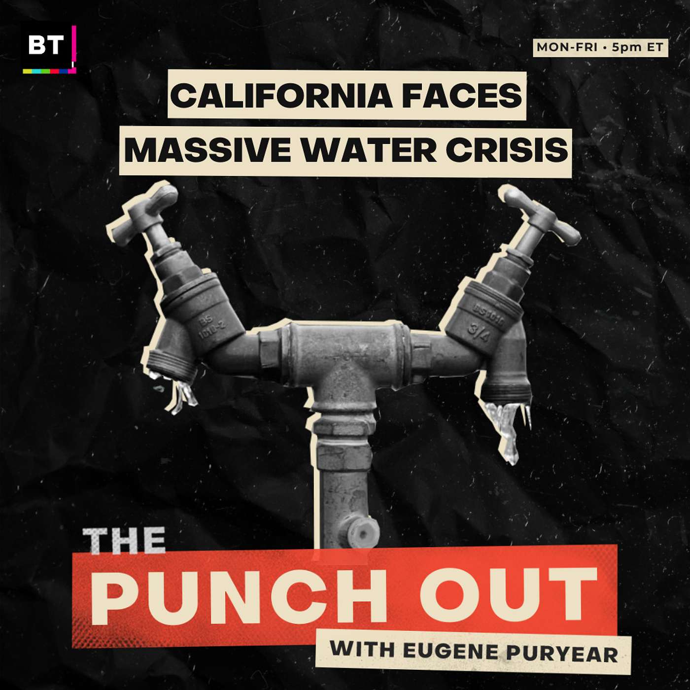 The Punch Out with Eugene Puryear - Your Daily Socialist News Hit
