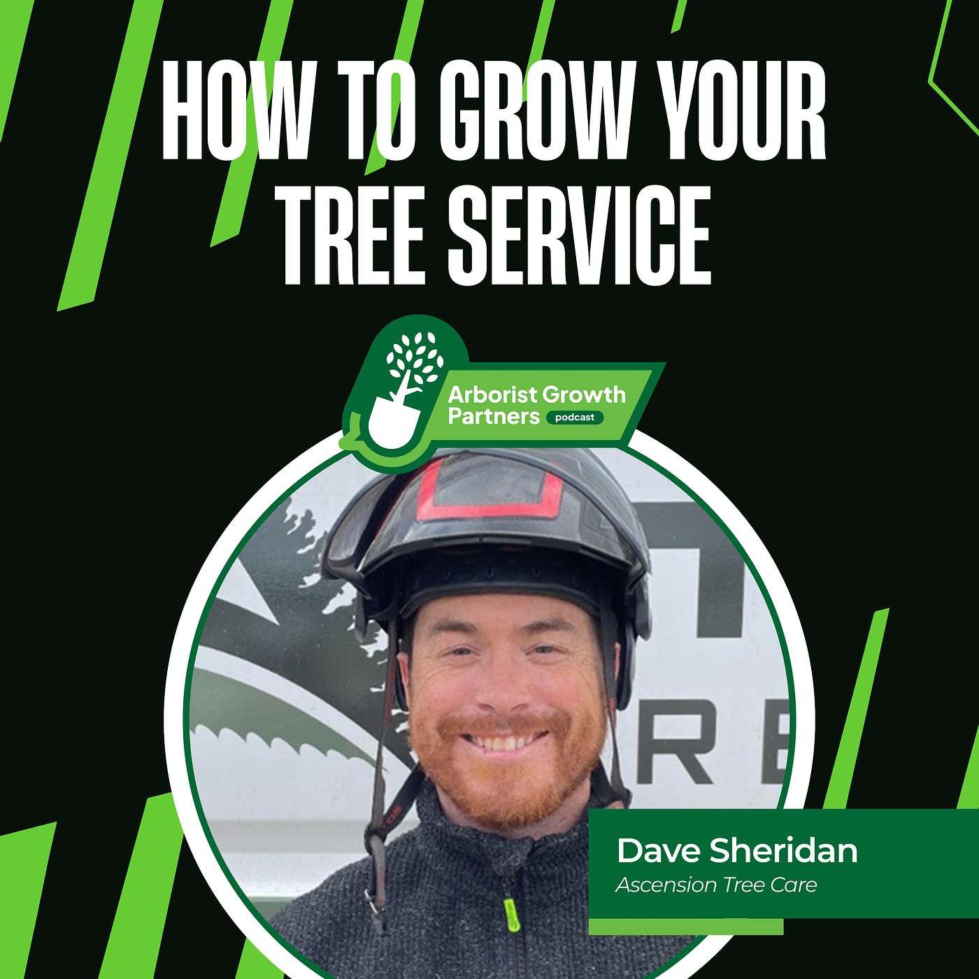 An interview with Dave Sheridan from Ascension Tree Care