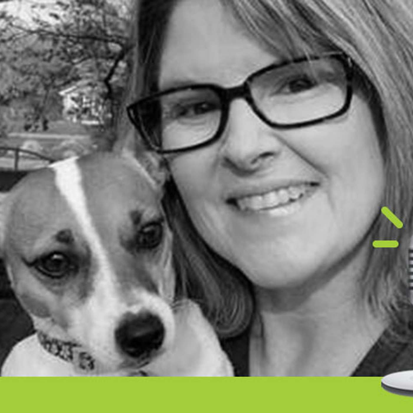 IVETSOHARD, The not-so-serious podcast for seriously busy veterinary teams