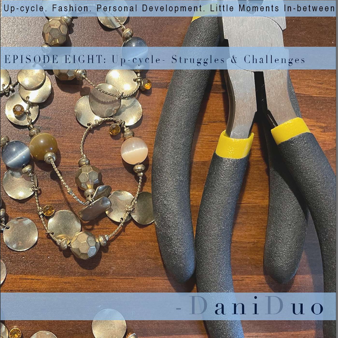 Episode 8: Up-Cycle- Struggles & Challenges