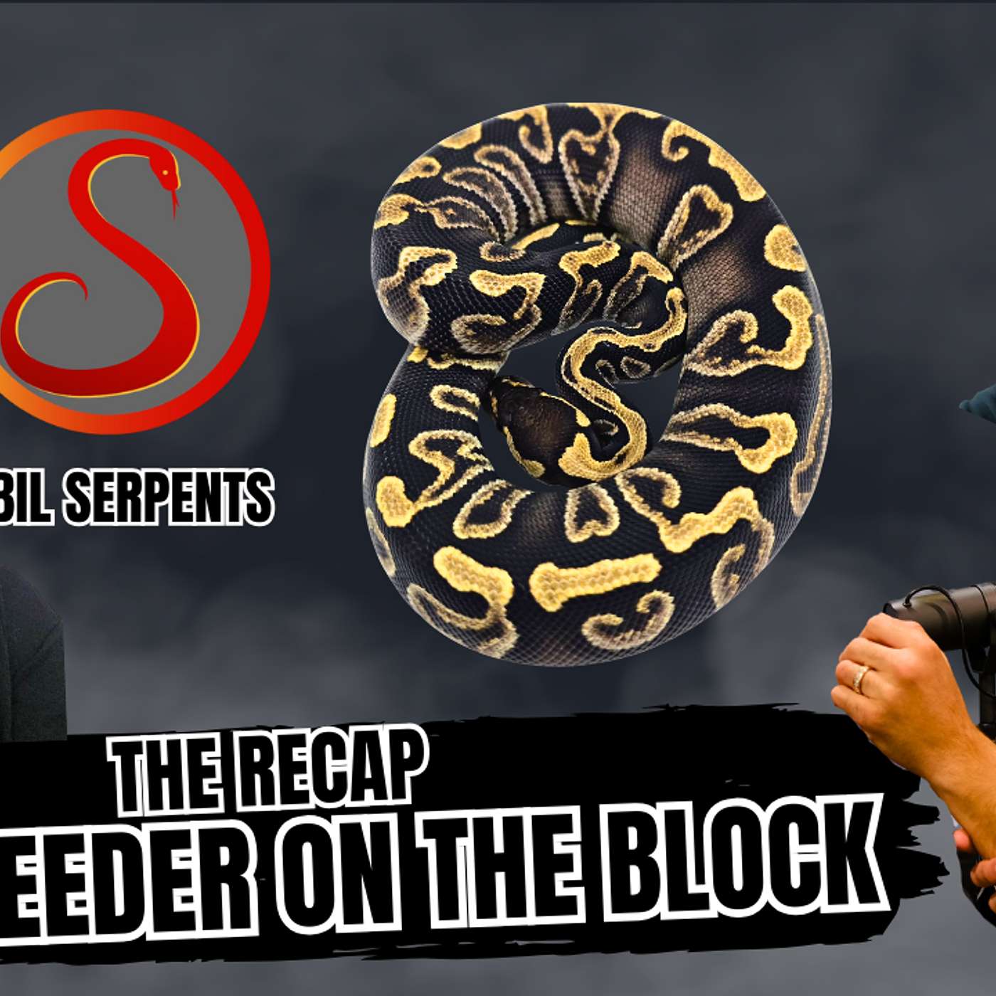 Seeing Through All The BS In The Ball Python Game | NBB The Recap Live