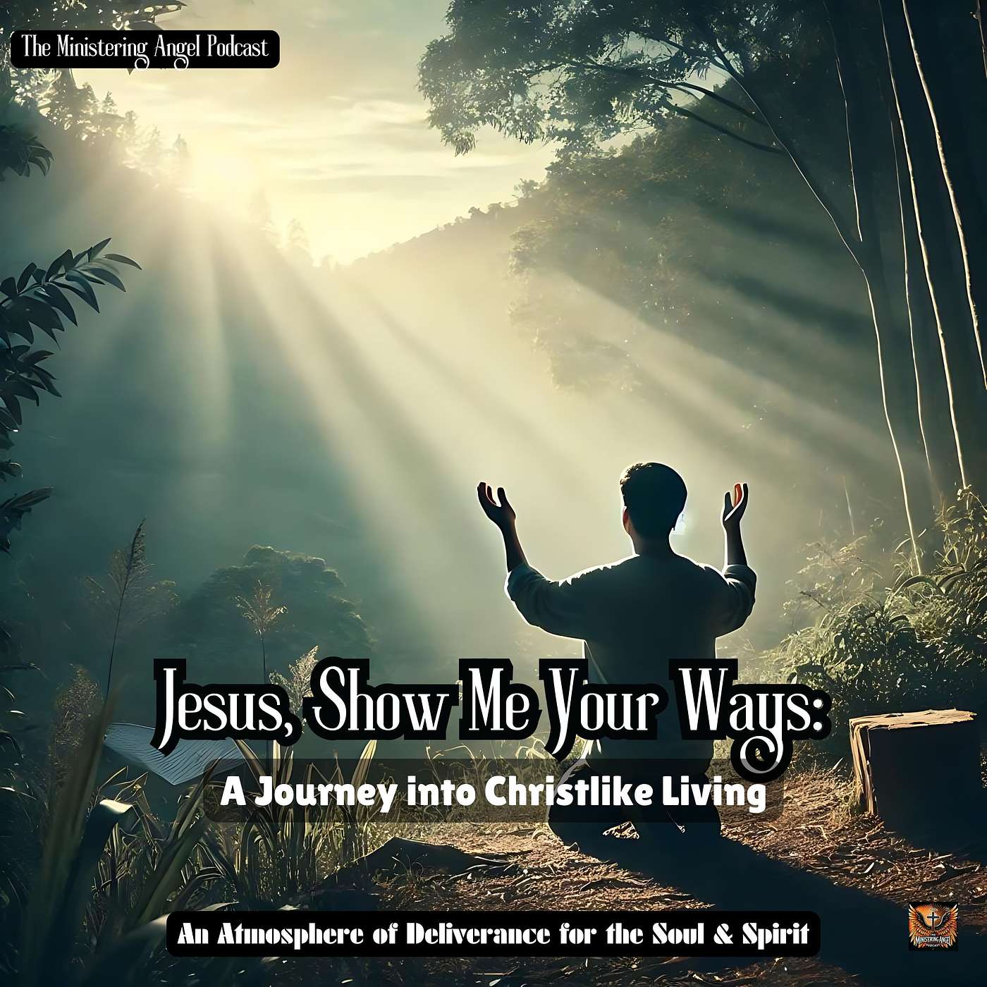The Ministering Angel Podcast