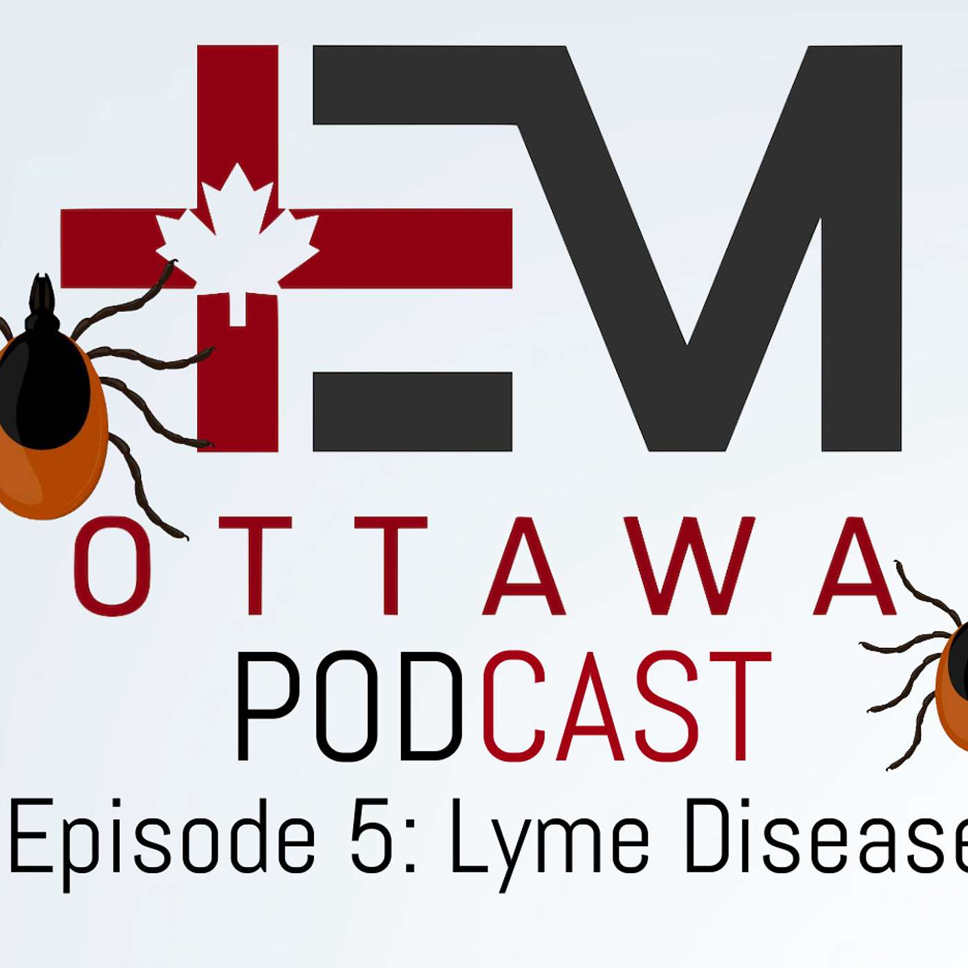 Tick Borne Illness Part 1: Lyme Disease