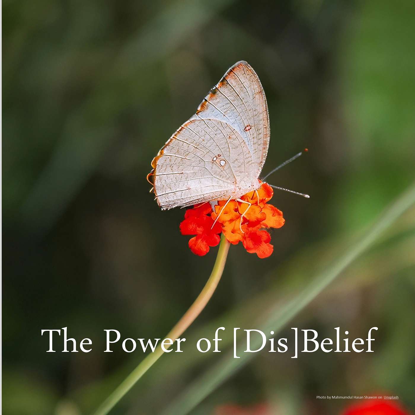 The Power of [Dis]Belief
