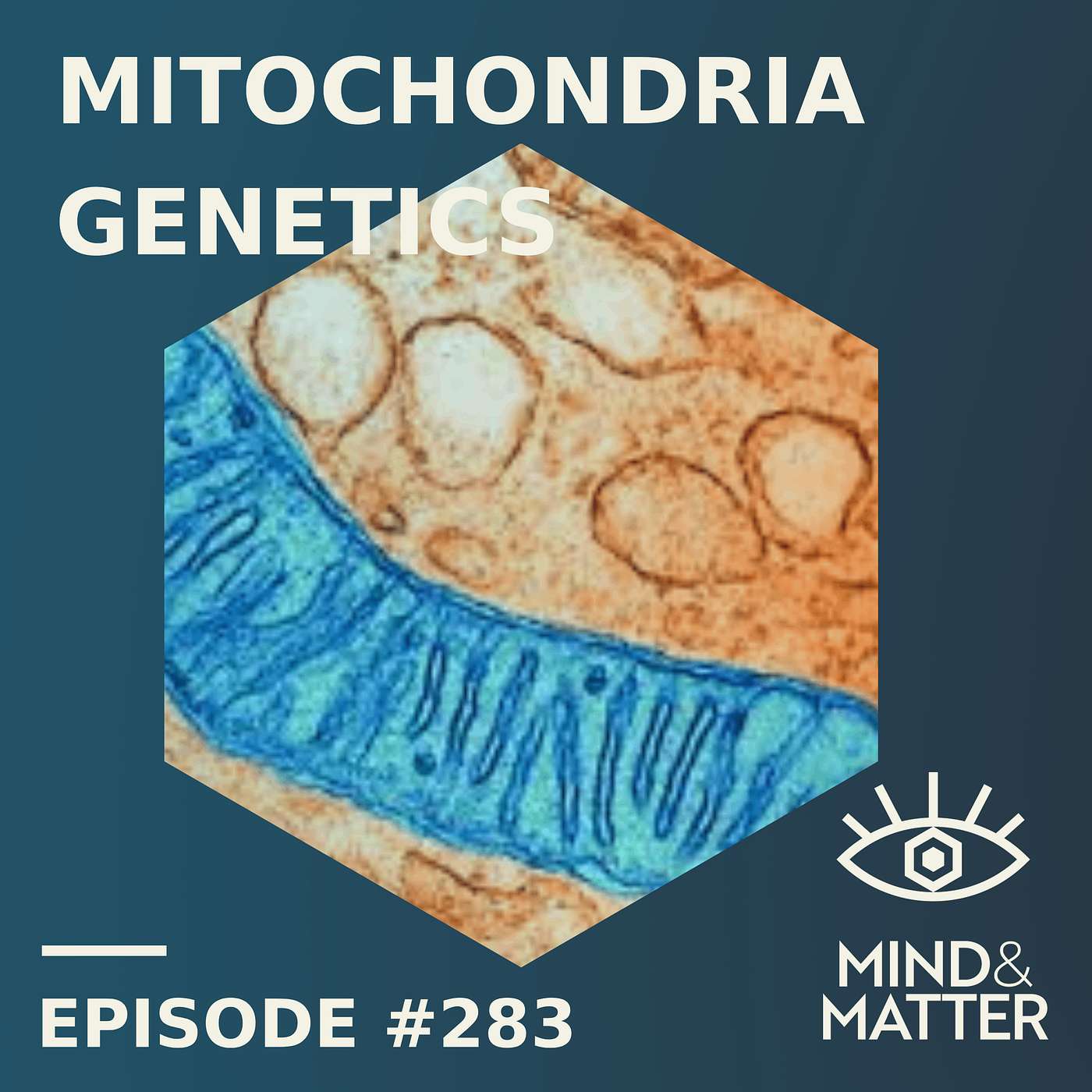 Mitochondria Genetics & Human Metabolic Variation in Health & Disease | Douglas Wallace | Ep 283 Mitochondria Genetics & Human Metabolic Variation in Health & Disease | Douglas Wallace | Ep 283