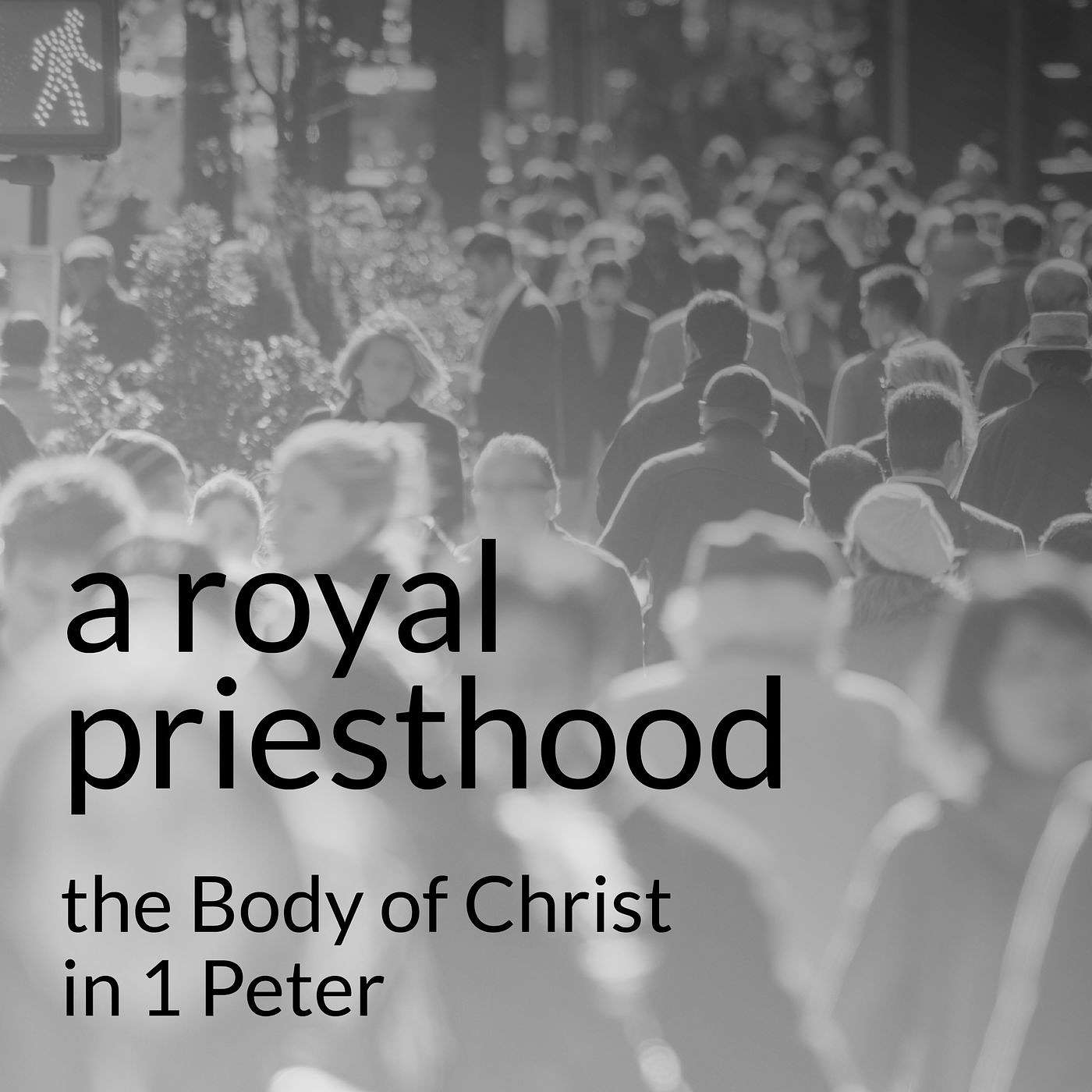Standing Firm - A ROYAL PRIESTHOOD, Part 6 - Steve Sudworth