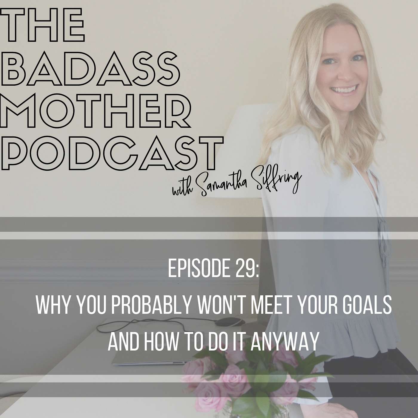 Ep. 29 Why You Probably Won't Meet Your Goals and How to do it Anyway episode artwork