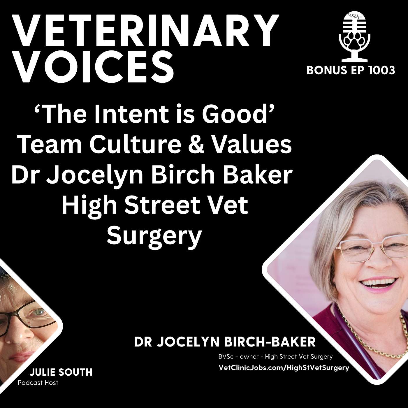 Dr Jocelyn Birch Baker: 'The Intent is Good' - Team Culture & Values | High Street Vet Surgery - ep 1003