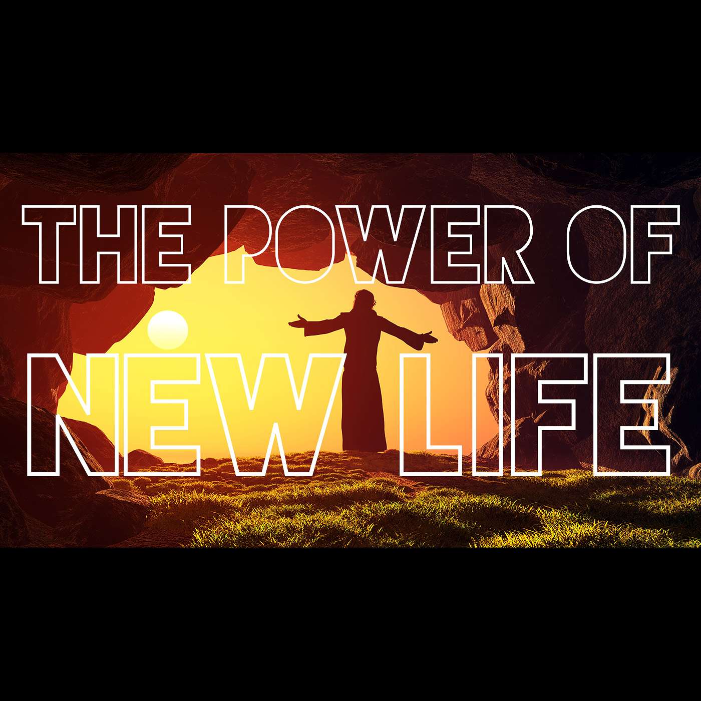 The Power of New Life