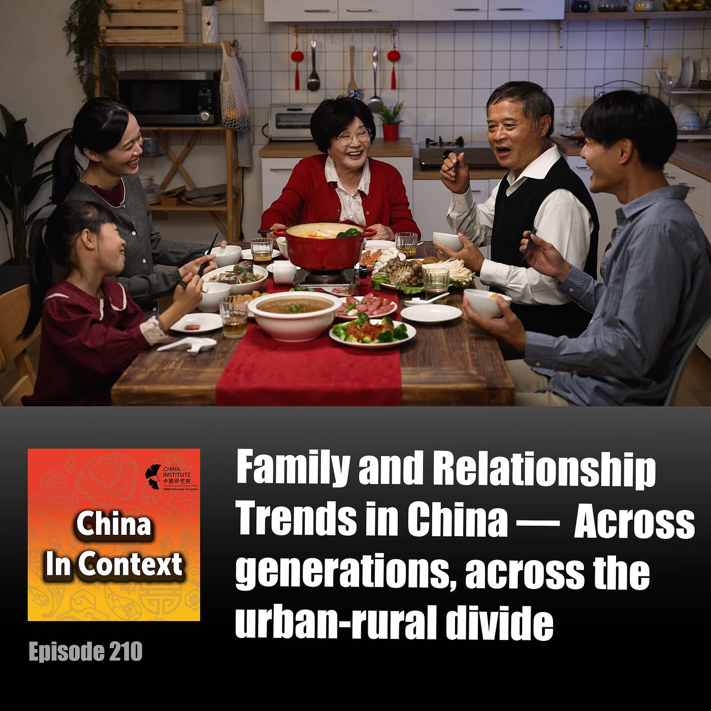 Family and Relationship Trends in China — Across generations, across the urban-rural divide episode artwork