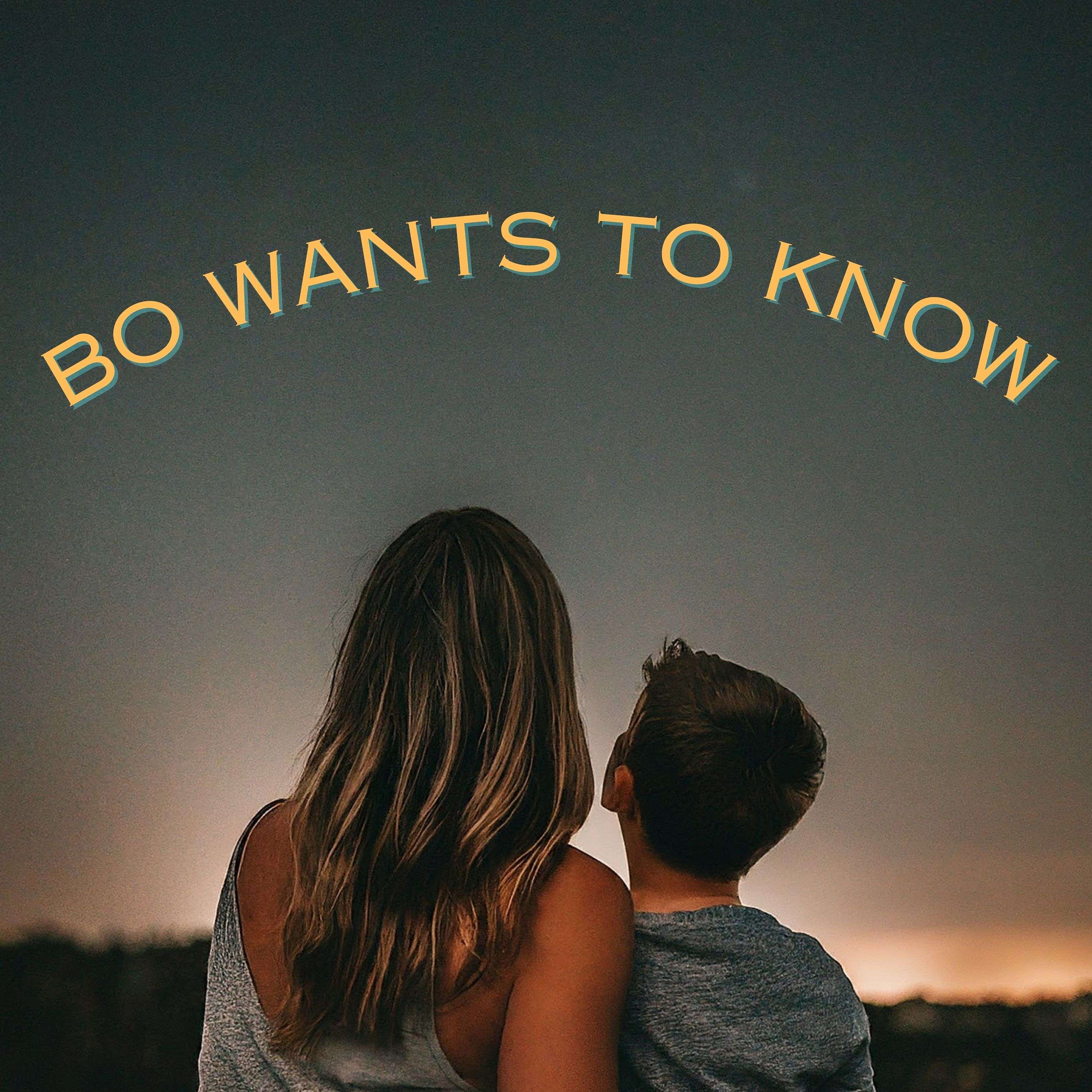 Bo Wants to Know