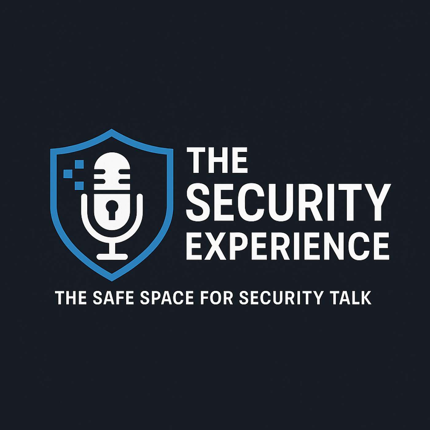 The Security Experience cover art