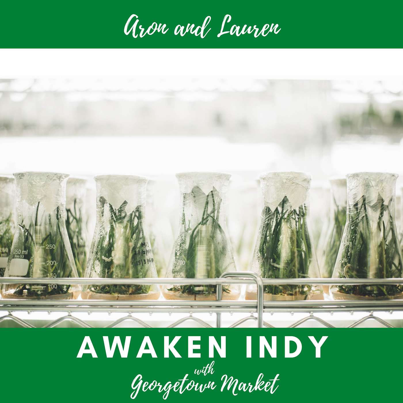 Awaken Indy