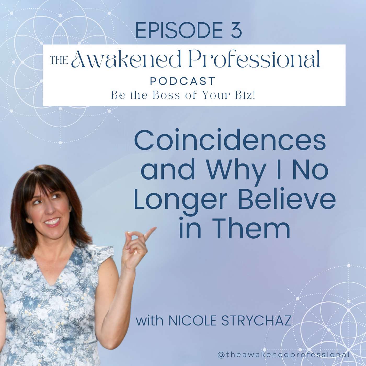 The Awakened Professional