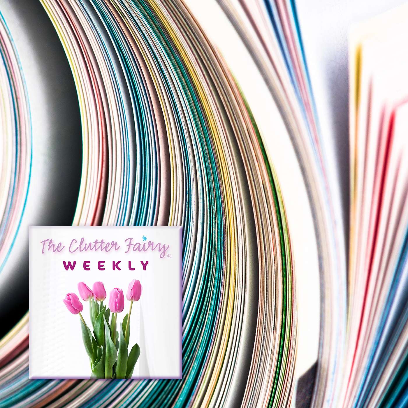 The Persistent Problem of Paper—Part I: Addressing the Backlog - The Clutter Fairy Weekly #315