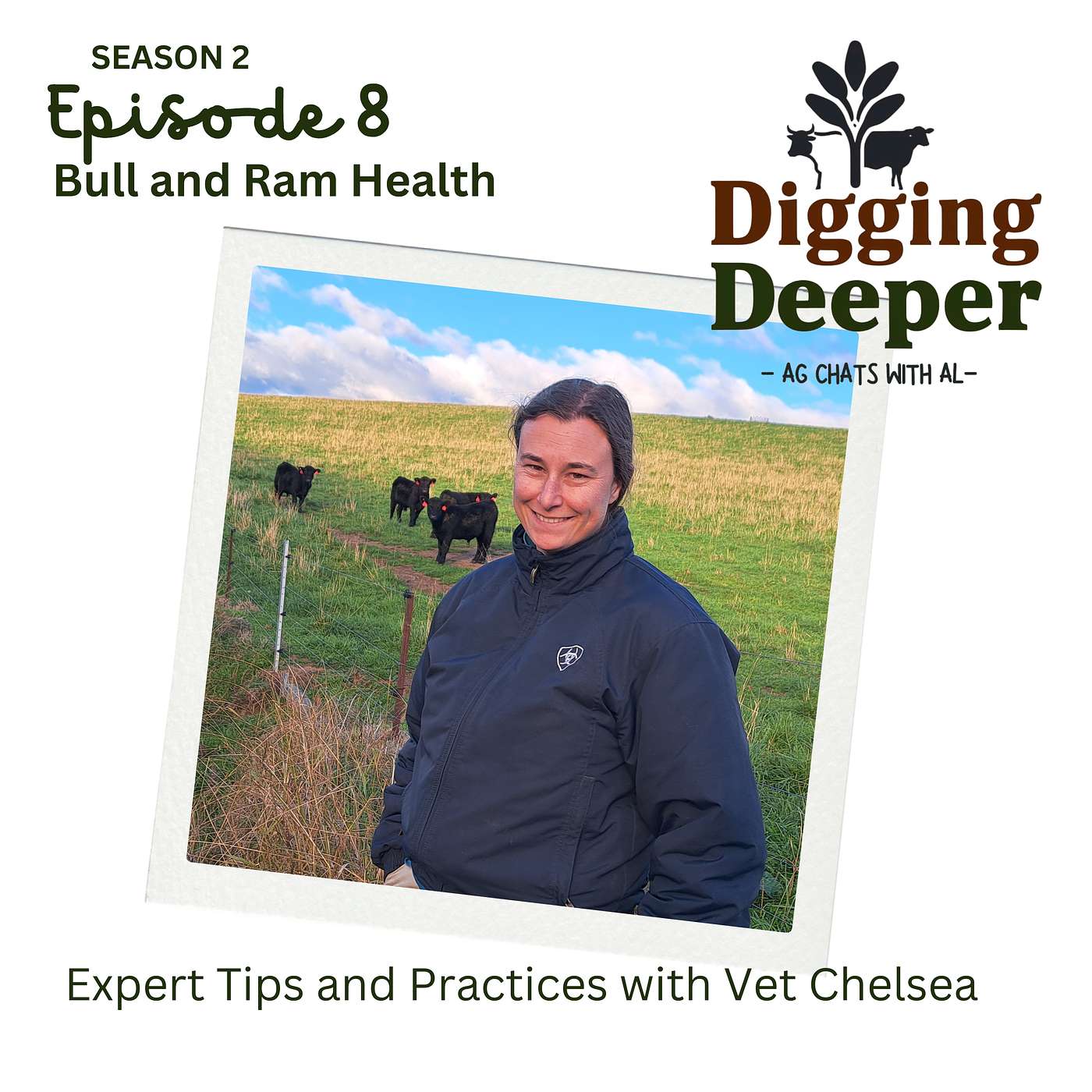 DIGGING DEEPER - Bull and Ram Health: Expert Tips and Practices with Vet Chelsea
