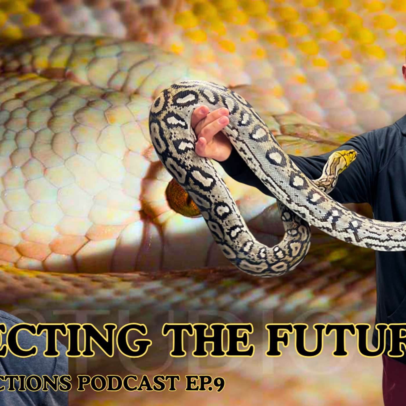 Protecting The Future Of Retics... How We Can ALL Do Our Part | Retic Reflections Podcast Ep.9