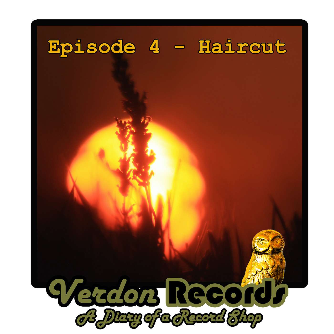 Verdon Records - The Diary of a Record Shop