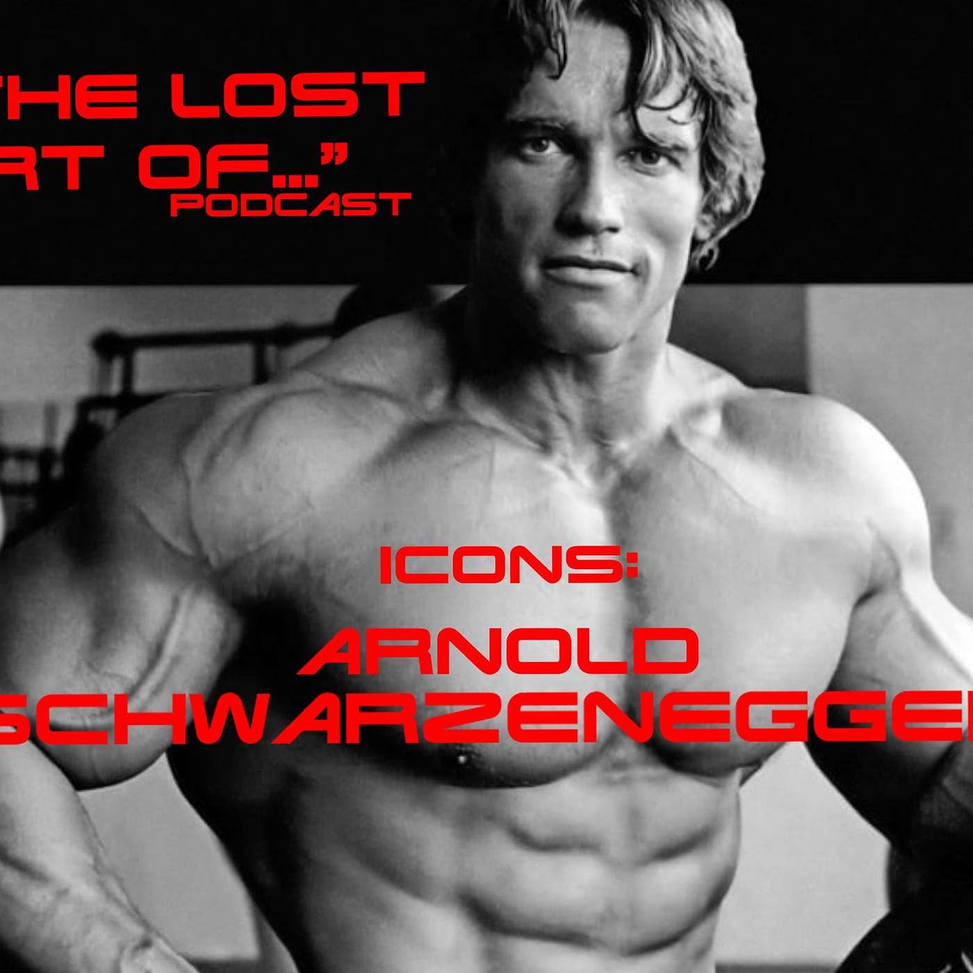 #65 - Icons - Arnold Schwarzenegger